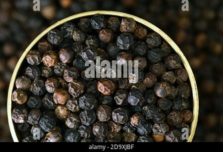 Fermez un bol rempli de poivre noir. Le poivre noir, roi des épices, est l’une des épices les plus couramment utilisées dans le monde. L’or noir Banque D'Images