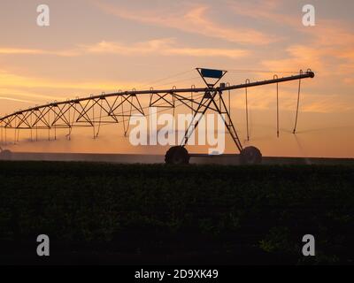 Centrer le système d'irrigation à pivot dans le champ de la ferme au coucher du soleil Banque D'Images