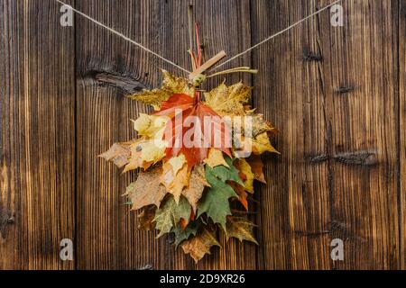 Ensemble de magnifiques feuilles d'automne colorées isolées sur bois brun foncé. Couleurs éclatantes de l'automne. Gros plan d'un groupe de feuilles d'automne, vue du dessus, espace de copie pour Banque D'Images