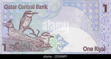 Macro de gros plan de billet de banque Qatari One riyal, gros plan de l'argent du Qatar Banque D'Images