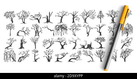 Ensemble de caniche pour arbres Illustration de Vecteur