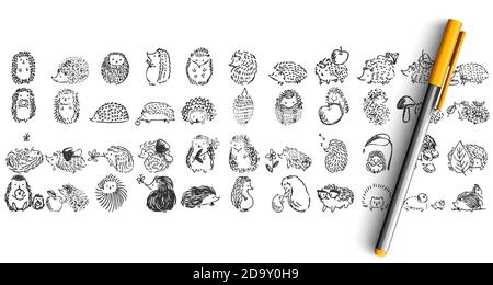 Set de doolde Hedgehogs Illustration de Vecteur