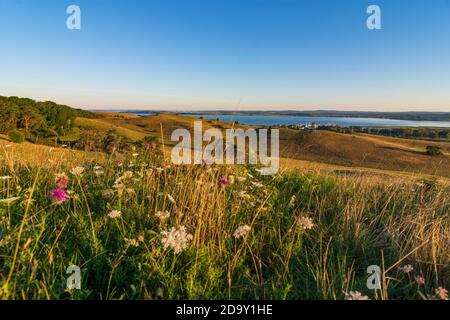 Mönchgut: Vue de la colline de Bakenberg au village de Gager, baie Hagensche Wiek, péninsule de Reddevitz (Reddevitzer Höft), Mer Baltique, Ostsee (Mer Baltique), Rüge Banque D'Images