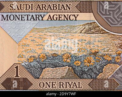 Arabie Saoudite 1 ruble billet de banque inverse macro, scène naturelle avec fleurs, gros plan de l'argent saoudien Banque D'Images