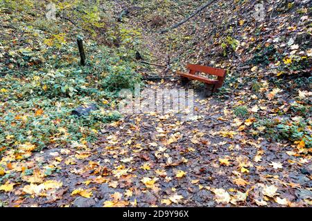 Sur un chemin forestier parsemé de feuilles mortes, se dresse un vieux banc en bois brun à peu près frappé pour le repos. Banque D'Images