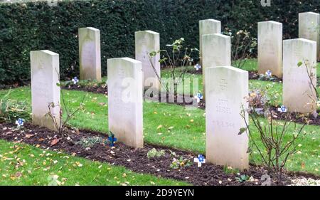 Botley Road Commonwealth War graves, Oxford, Royaume-Uni. Novembre 8th 2020. Le Service du souvenir annuel à la Commonwealth War graves (CWG) Oxford a été un événement restreint cette année en raison des règles entourant les rassemblements publics pendant la pandémie COVID-19. Bridget Catterall/Alamy Live News. Banque D'Images