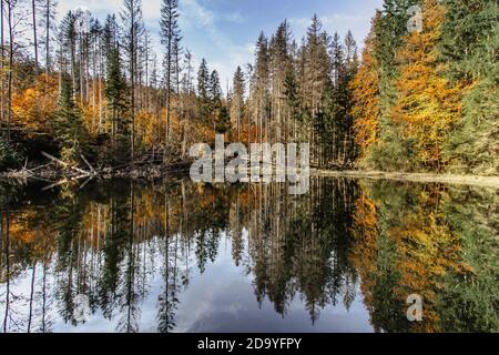 Lac de Boubin. Reflet des arbres d'automne de la forêt primitive de Boubin, montagnes de Sumava, République Tchèque. Réservoir d'eau situé à l'altitude de 925 M. Banque D'Images