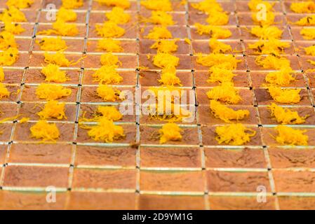 Custard aux œufs avec farine de haricots Mung Banque D'Images
