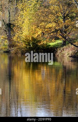 Scotland Ayrshire Ayr River Ayr en automne, les couleurs se reflètent dans la rivière Banque D'Images