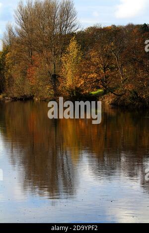 Scotland Ayrshire Ayr River Ayr en automne, les couleurs se reflètent dans la rivière Banque D'Images