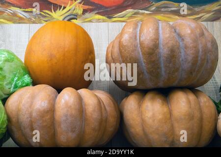 Peu de citrouilles énormes dans un stockage empilé en rangées l'un au-dessus de l'autre Banque D'Images