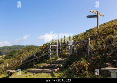 Sentier côtier sur la côte du Devon près de Golden Cap Banque D'Images