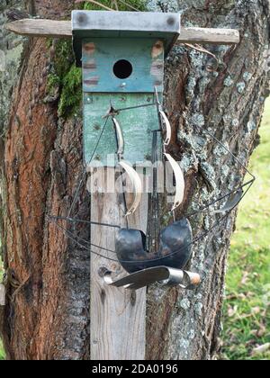 Ancienne cabane à oiseaux en bois accroché au cerisier. N'importe qui a mis le modèle de yacht de voile de meatl sur elle. Jardin de la maison familiale Banque D'Images