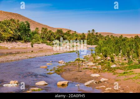 Rivière avec eau en saison des pluies. Fint Oasis, Ouarzazate, Drâa-Tafilalet, Maroc, Afrique du Nord Banque D'Images