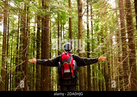 Vue arrière angle bas de touristes méconnaissables debout dans les bois Avec des bras étirés et en profitant de la liberté à Monte Cabezon Natural Monument de Sequo Banque D'Images