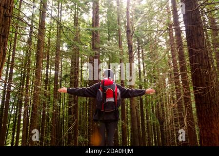 Vue arrière angle bas de touristes méconnaissables debout dans les bois Avec des bras étirés et en profitant de la liberté à Monte Cabezon Natural Monument de Sequo Banque D'Images