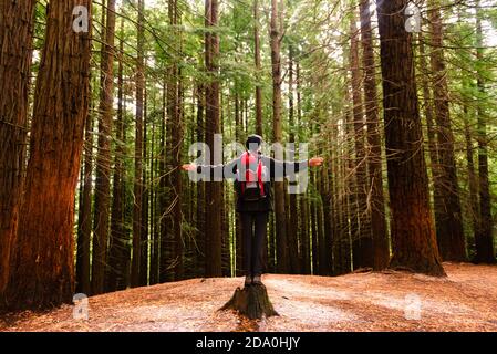 Vue arrière angle bas de touristes méconnaissables debout dans les bois Avec des bras étirés et en profitant de la liberté à Monte Cabezon Natural Monument de Sequo Banque D'Images