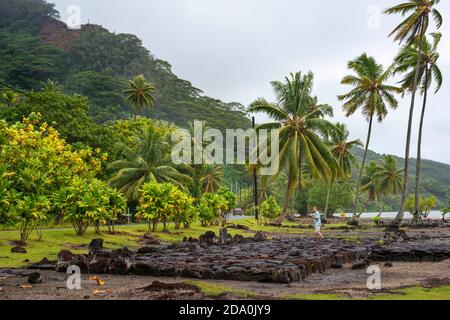 Site archéologique et Marae temple à Maeva, Huahine, îles de la société, Polynésie Française, Pacifique Sud. Banque D'Images