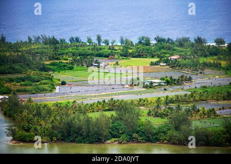 Paysage près du temple de Marae à Maeva, Huahine, Iles de la Société, Polynésie française, Pacifique Sud. Banque D'Images