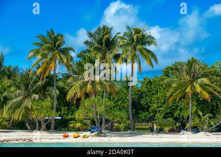 Plage de Motu Tevairoa, un petit îlot dans le lagon de Bora Bora, les îles de la Société, Polynésie française, Pacifique Sud. Banque D'Images