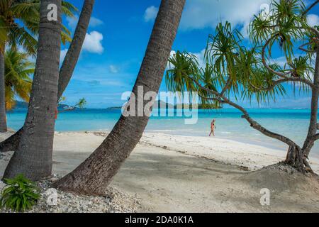 Plage de Motu Tevairoa, un petit îlot dans le lagon de Bora Bora, les îles de la Société, Polynésie française, Pacifique Sud. Banque D'Images