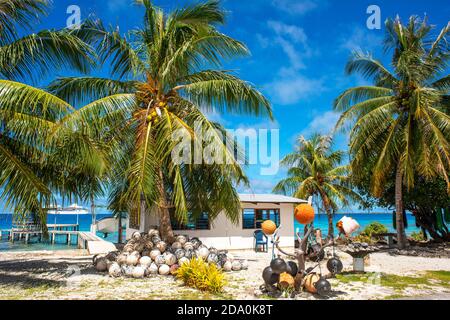 Maison de pêcheurs locale à Fakarava, archipel de Tuamotus Polynésie française, îles de Tuamotu, Pacifique Sud. Banque D'Images