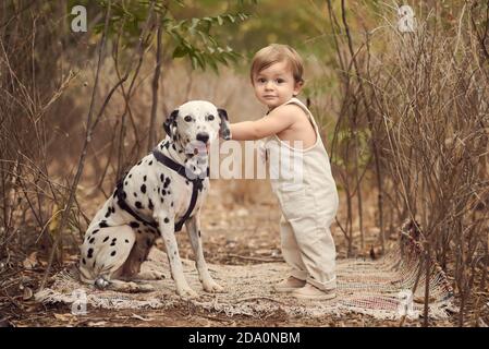 Vue latérale de tout le corps d'un adorable tout-petit debout Caresser le chien dalmate près de grandes plantes tout en souriant et en regardant à l'appareil photo Banque D'Images