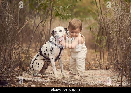 Vue latérale de tout le corps d'un adorable tout-petit debout Caresser le chien dalmate près de grandes plantes tout en souriant et en regardant loin Banque D'Images