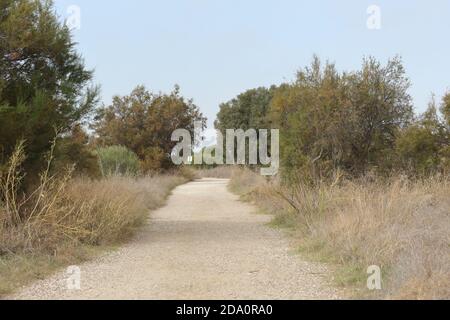 Chemin à travers le paysage de Guadalhorce rivière estuaire nature réserve, Málaga, Andalousie, Espagne. Banque D'Images