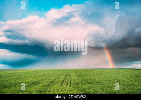 Campagne rurale Field Meadow Paysage en été Nuageux jour. Ciel pittoresque avec des nuages doux et arc-en-ciel après la pluie sur Horizon Banque D'Images