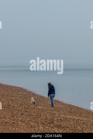 femme marchant seule sur une plage avec son chien Banque D'Images