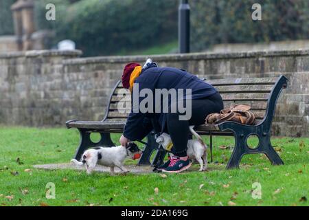 une grande dame en surpoids assise sur un banc avec deux petits chiens ou des terriers sur les pistes, Banque D'Images