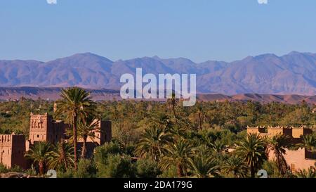 Belle vue panoramique d'une oasis de verdure fertile avec palmiers dattiers et bâtiments historiques mauresques loam dans une vallée près de Skoura, Maroc, Afrique. Banque D'Images