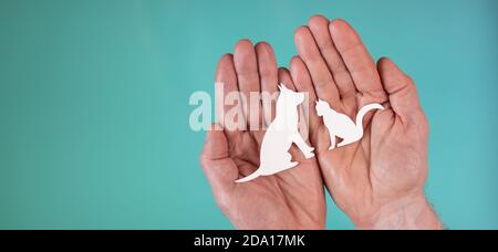 Concept d'assurance pour animaux de compagnie avec chat papier et chien dans mains sur fond turquoise Banque D'Images