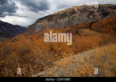 Les hauts sommets en granit et les falaises du nord de l'Utah, aux États-Unis, sont spectaculaires à l'automne. La route de montagne offre une vue panoramique sans fin de la gamme. Banque D'Images