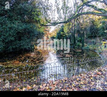 St Stephens Green n Dublin, Irlande. Les couleurs d'automne se reflètent dans le lac, avec des gens qui profitent du soleil d'automne. Banque D'Images