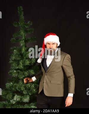 Concept d'affaires et de vacances d'hiver. Manager avec barbe se prépare pour Noël. Un homme d'affaires au visage strict porte un arbre de Noël chauve. Homme en costume classique et chapeau de père Noël sur fond marron. Banque D'Images