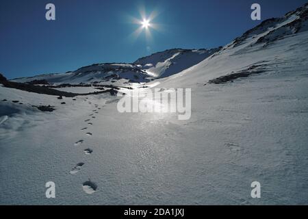 Traces de randonneur avec des empreintes de raquettes sur la neige en hiver Etna Park, Sicile Banque D'Images