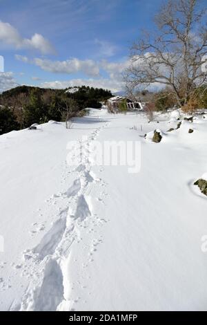 raquettes à neige pas sur le chemin enneigé dans le parc national de l'Etna, Sicile, Italie Banque D'Images