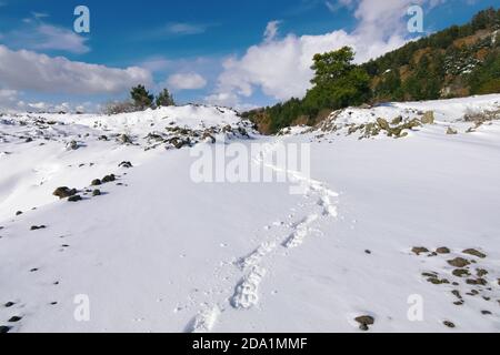 raquettes à neige pas sur le chemin enneigé dans le parc national de l'Etna, Sicile, Italie Banque D'Images