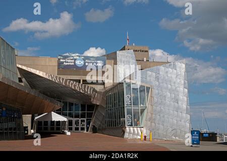 L'aquarium de Nouvelle-Angleterre est un aquarium public situé à Boston, Massachusetts, États-Unis. 08/01/2020 Banque D'Images