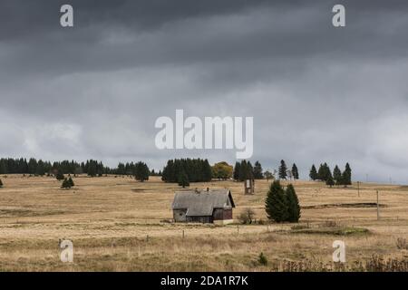 Maison isolée au bord de la rivière Rolava dans la réserve naturelle de Přebuz, république tchèque Banque D'Images