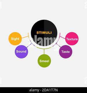 Diagramme de stimuli avec mots-clés. EPS 10 - isolé sur fond blanc Illustration de Vecteur