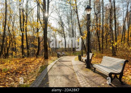 Ruelle romantique d'automne avec des arbres colorés Banque D'Images