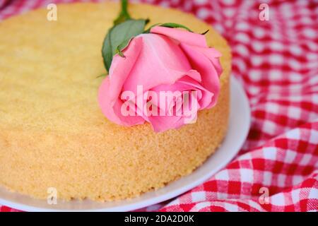 La fleur repose sur un biscuit. Gâteau éponge cuit sur une nappe à carreaux rouges. Banque D'Images