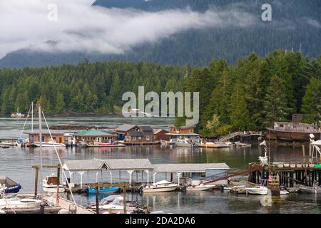 Île Strawberry, Tofino Harbour, île de Vancouver, Colombie-Britannique, Canada Banque D'Images