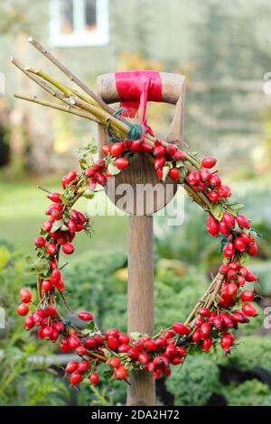 Couronne d'automne maison avec rosebassin sur la base de saule suspendue sur une bêche dans un jardin anglais. ROYAUME-UNI Banque D'Images