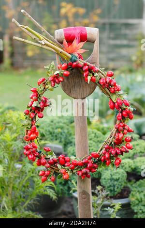 Couronne d'automne maison avec rosebassin sur la base de saule suspendue sur une bêche dans un jardin anglais. ROYAUME-UNI Banque D'Images