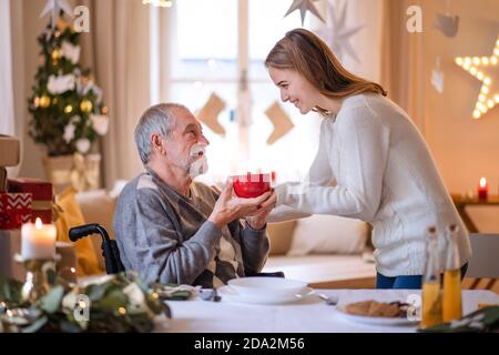 Jeune femme donnant une tasse de thé à grand-père senior en fauteuil roulant à l'intérieur à la maison à Noël. Banque D'Images