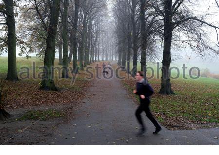 Édimbourg, Écosse, Royaume-Uni. 9 novembre 2020. Le brouillard matinal enveloppe le parc Inverleith, qui devrait se transformer en nuages avec des intervalles ensoleillés en fin de matinée. Les feuilles de la fin de l'automne fournissent encore de la couleur. Crédit : Craig Brown/Alay Live News Banque D'Images